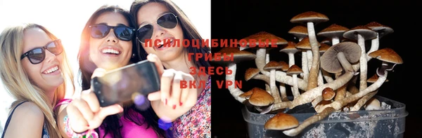 2c-b Алексеевка