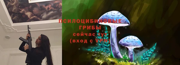 2c-b Алексеевка